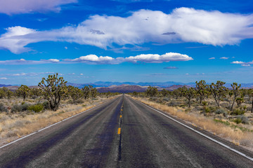the long road