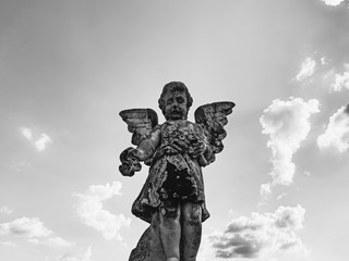 statue of an angel on background black and white