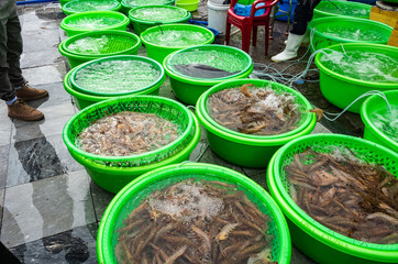Seafood market in Halong Bay, Vietnam