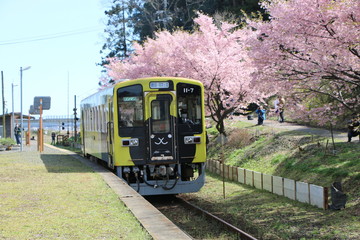 Naklejka premium 電車