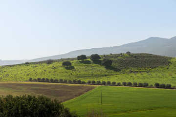 Bet She'arim National Park