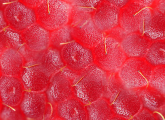 Raspberry texture 