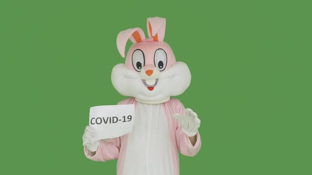 Easter Bunny or Rabbit fights destroys covid-19, coronavirus, virus, microb on Chroma key, green screen. Easter party 2020 cancelled