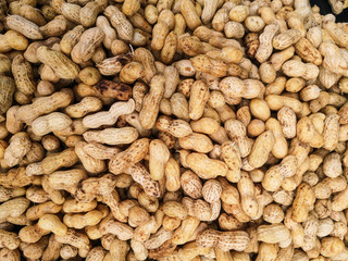Boil nut in the market Samutsakorn,street food.