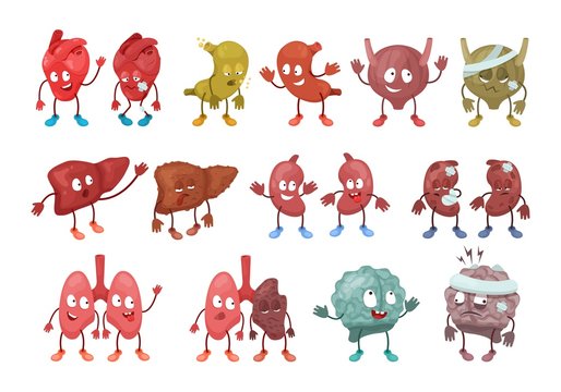 Human cartoon character organ vector illustration. Cute happy healthy or sad unhealthy heart, stomach, bladder, liver. Funny or sick kidneys, lung, brain. Flat anatomy body organ set isolated on white