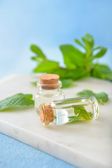 Bottles of mint essential oil on table