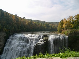 waterfall in the forest