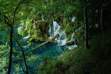 waterfall in deep forest