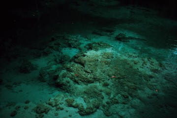 Processed with VSCO with j5 preset