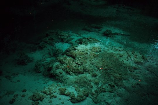 Processed with VSCO with j5 preset