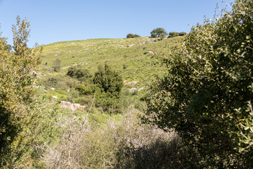 Tel Yodfat National Park