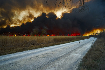Wildfires. Burning estuary. Fire in the steppe.