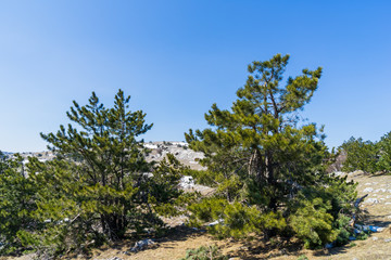 Image of a mountain plateau.