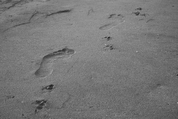 An image of a footprint of a person.