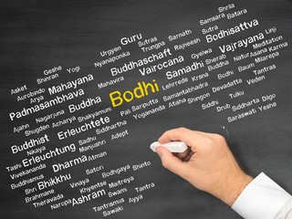 Bodhi