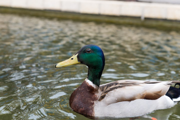 Israel Aquarium in Jerusalem
