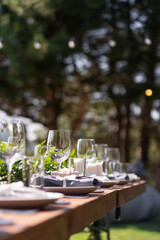 Preparing for an open-air party. Decorated served tables await guests. Decoration Details