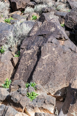 Petroglyphs Petroglyphs National Monument 