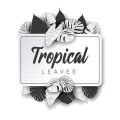 Tropical summer leaves background with jungle plants