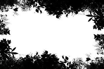 木のシルエットフレーム