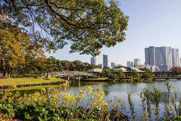 Hamarikyu garden