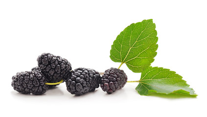 A mulberry with leaves.