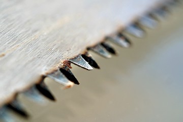 close up of blade of saw