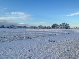 Snow in Texas