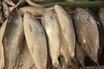 
fresh fish sold in Indonesian traditional markets