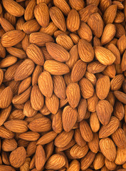 Many almond seeds pile up into the background.