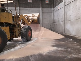Fototapeta na wymiar Orange loaders and large Cream color urea fertilizer in the warehouse.