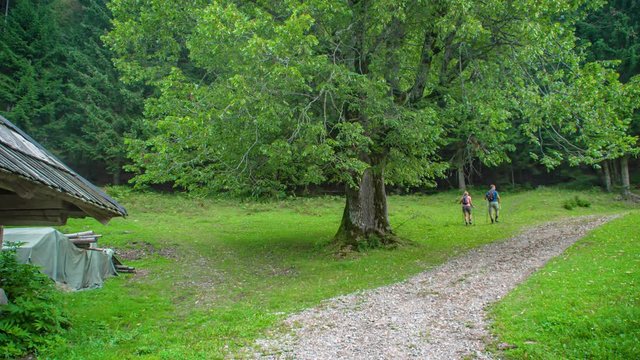 Exploring Topla Valley Slovenia on a trek, wide shot