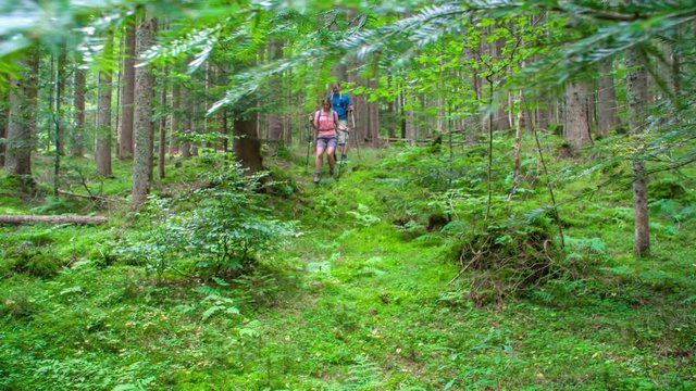 Slowmotion shot of man and woman hiking through the forest. Walking adventure. Topla valley, Slovenia