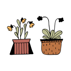 Set of two hand drawn colorful potted flowers isolated on a white background. Doodle, simple outline illustration. It can be used for decoration of textile, paper.