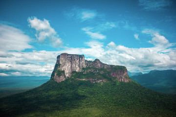 Naklejka premium Cerro Autana, Amazonas State - Venezuela