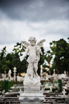 statue of an angel in park, Colon Cemetery, Havana, Cuba, Caribbean
