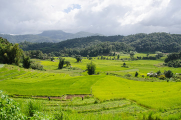 Obraz premium Rainy clouds over green mountains and rice field
