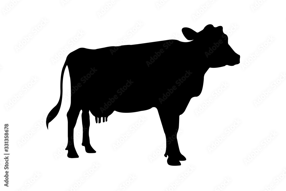 Wall mural Cow Silhouette On White Background