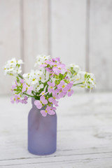 Little Purple Spring Flowers In Vase