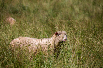 Pieniny - Carpathians Mountains © BARONPHOTOGRAPHY.EU