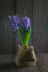 Decorative flower in the interior