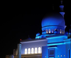 grand mosque at night