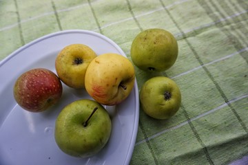 apples in a bowl on table