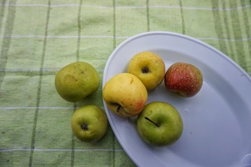apples in a bowl on  table