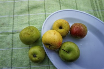 green apples in a bowl