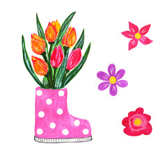Cute pink and polka dot gumboot filled with a bouquet of beautiful tulips. Bright spring red and yellow bulbous flowers. Hand drawn colorful gardening illustration.