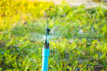 water sprinkler showering grass in the garden