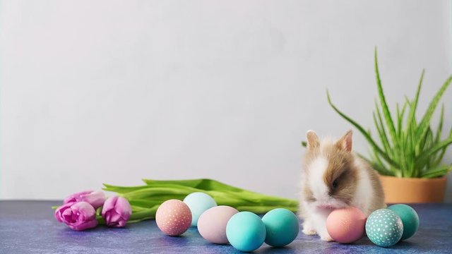 Cute Easter bunny on table with colorful eggs and tulips. Easter holiday decorations, Easter concept background.