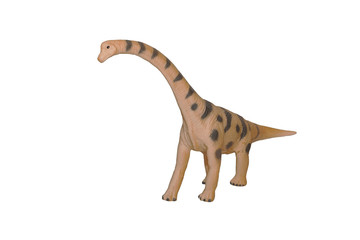 Life-like sauropod dinosaur which was a high browser and herbivore living during the Jurassic period, isolated on white © Анастасия Троицкая