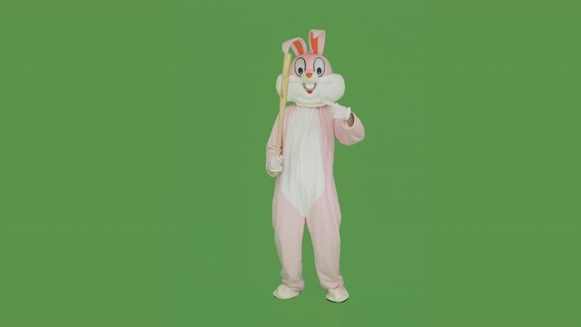 Easter bunny plays baseball, takes beats baseball bat on chroma key, green screen. Plush Easter Bunny life-size suit or costume love sport, fights